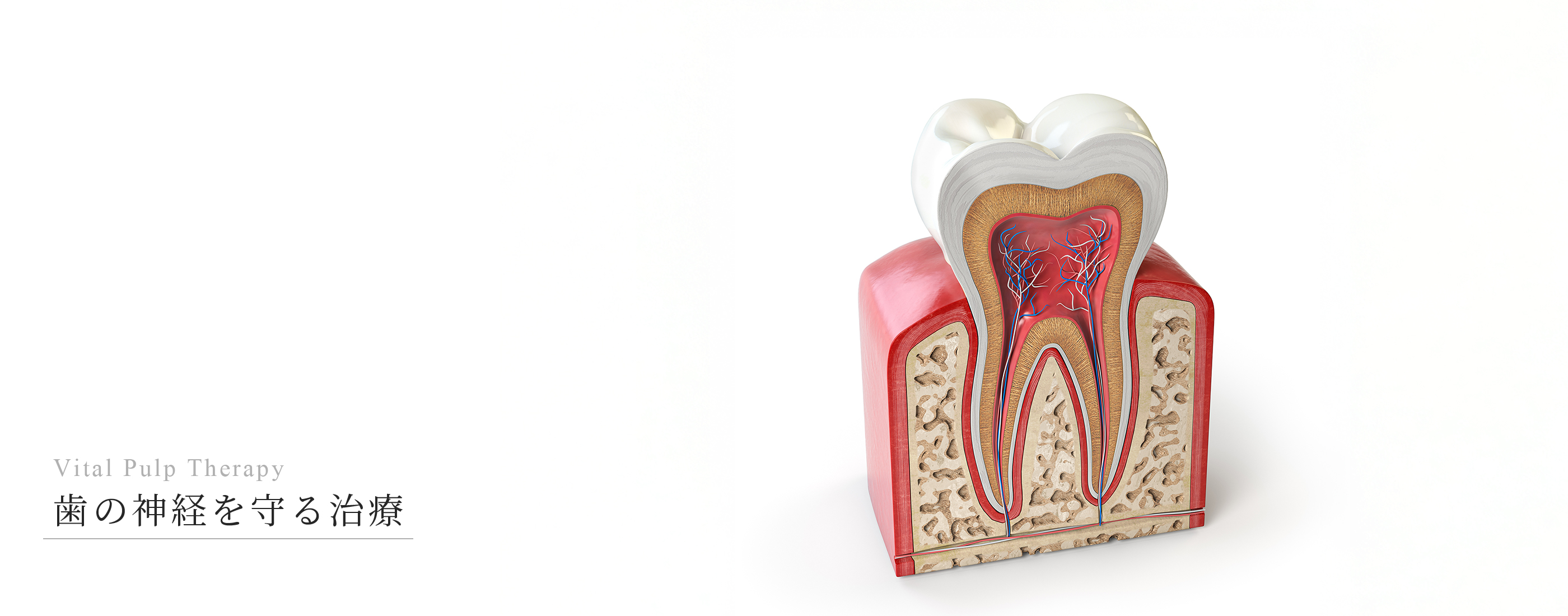 キービジュアル
